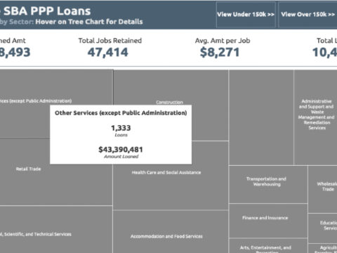 Delaware PPP Loans